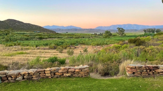 WhatsApp Image 2024-12-10 at 21.31.26